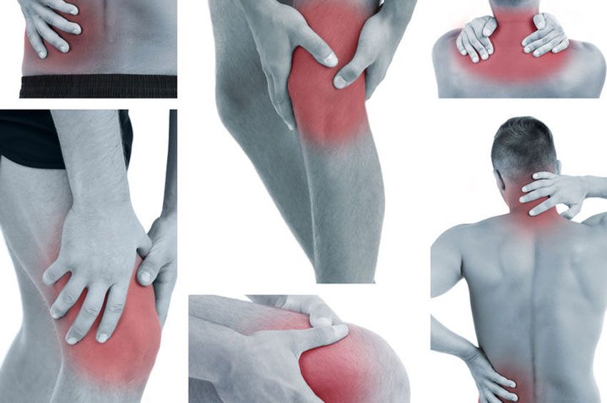 Ortopedia i rehabilitacja