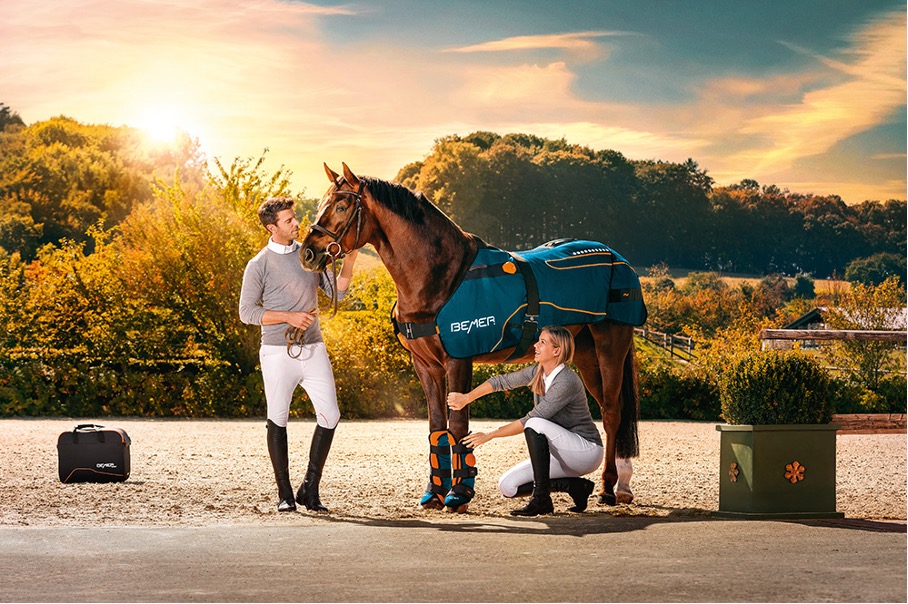 Bemer Horse zdjecie z krajobrazem