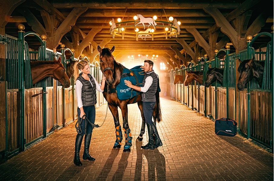 Bemer horse w stajni