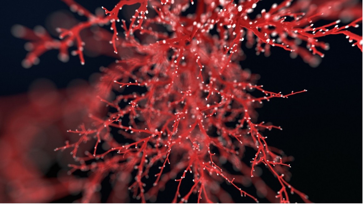 Mikrokrążenie wielkie znaczenie dla zdrowia