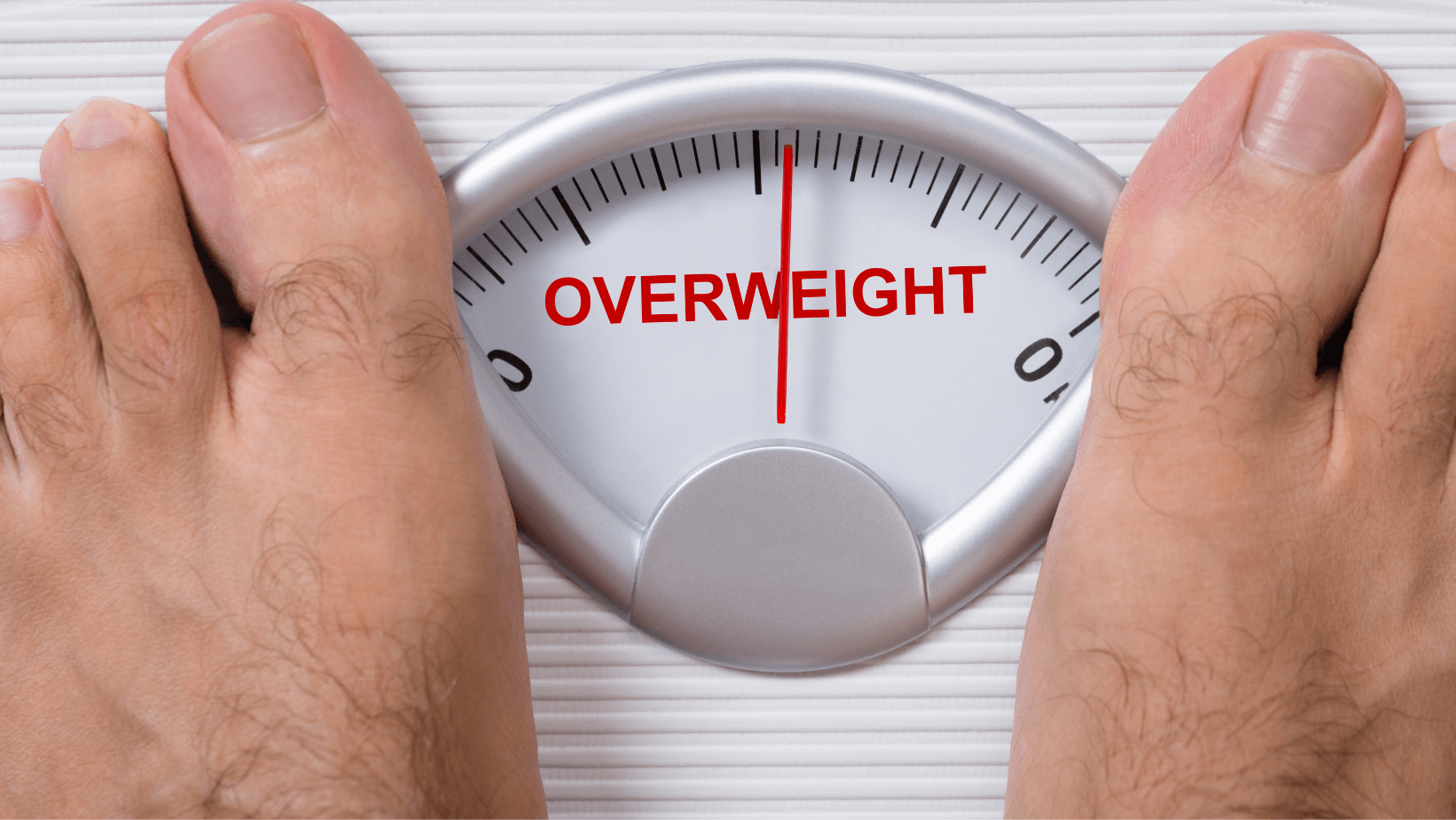 Mikrobiota a otyłość