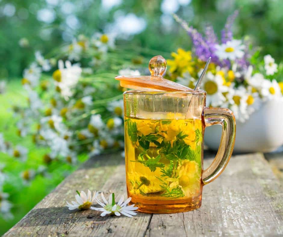 Fitoterapia w zaburzeniach metabolicznych